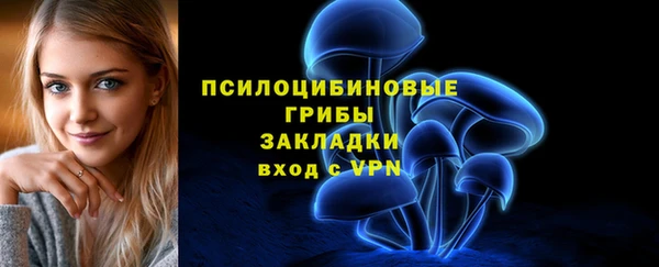 винт Баксан