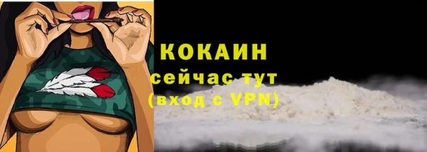 винт Баксан