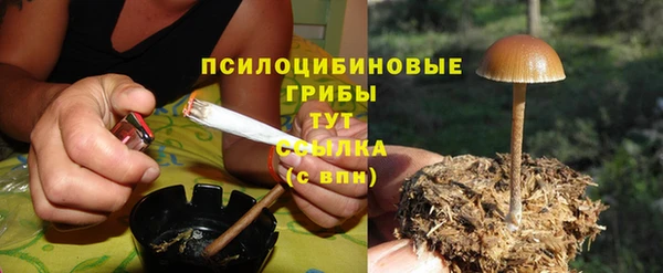 винт Баксан