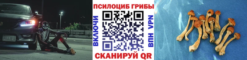 это какой сайт  мега рабочий сайт  Георгиевск  наркошоп  Псилоцибиновые грибы Psilocybine cubensis 